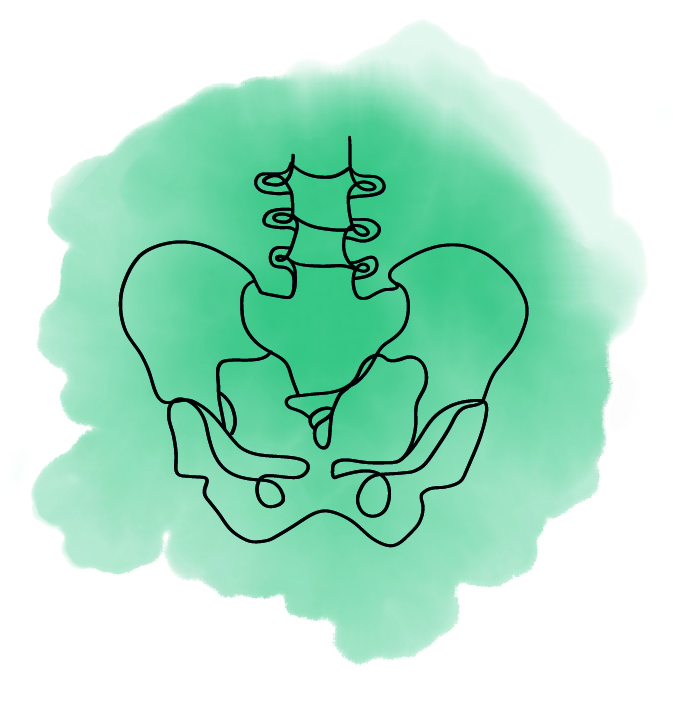 Ostéopathie bassin Ostéopathie adulte
